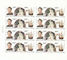 Polish Stamps scott3084-85, Znaczki Polskie Fischer 3229-30 ARK