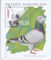 Polish Stamps scott3216, Znaczki Polskie Fischer BLOK 156