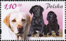 Polish Stamps scott3628 a-d, Znaczki Polskie Fischer 3810-13
