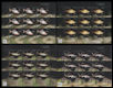 Polish Stamps scott4245-48, Znaczki Polskie Fischer 4711-14 MS of 9
