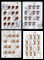 Polish Stamps scott4386-89 MS, Znaczki Polskie Fischer 4929-32 ARK