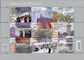 Polish Stamps scott4473, Znaczki Polskie Fischer 5040-48 ARK of 